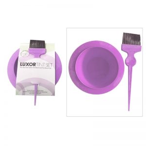 LUXOR Tint Set – Tint Bowl and Tint Brush - Purple