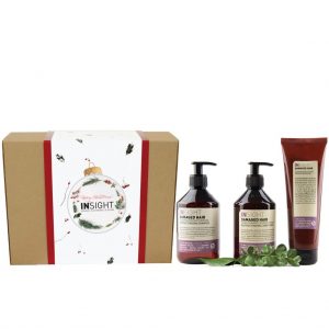 Christmas Gift Box – Luxe Damaged Hair Box