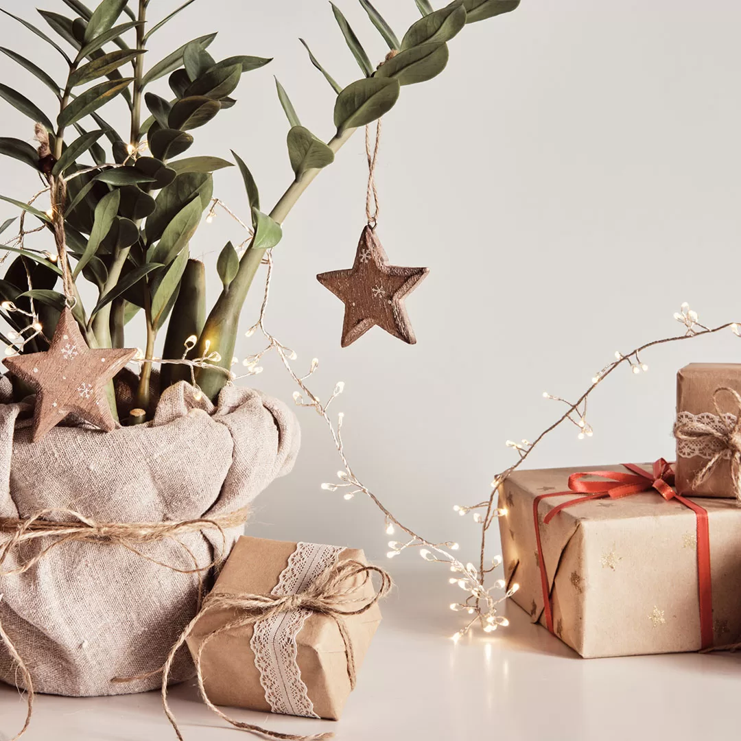 Ideas for a Beautiful and Sustainable Christmas!